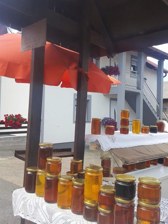 Guesthouse Samolov Vrhovine 外观 照片