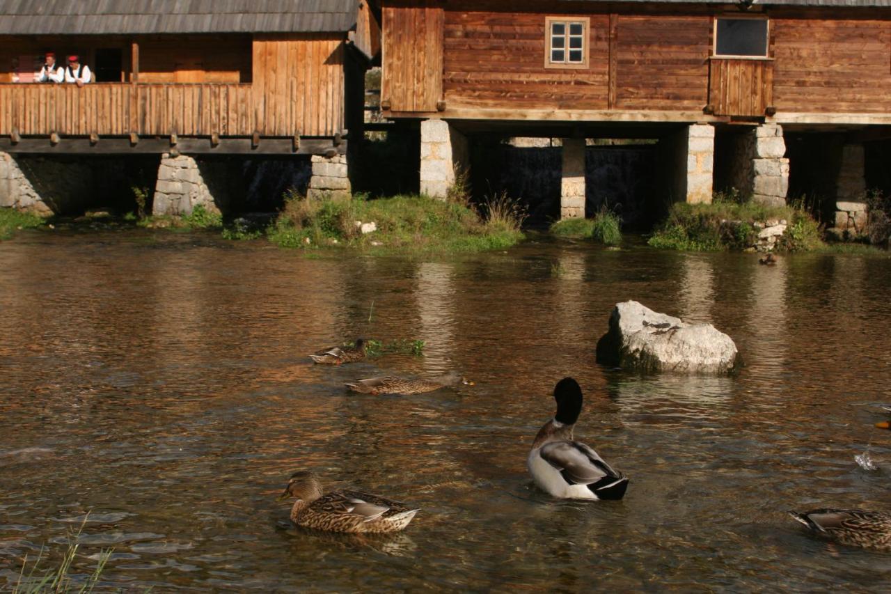 Guesthouse Samolov Vrhovine 外观 照片